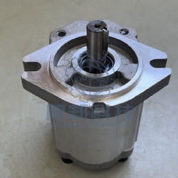 CBW- F306 gear oil pump