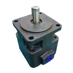 YB-D Vane Pump